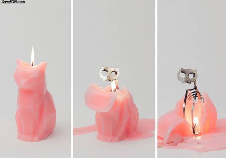 Obrázek cat candle