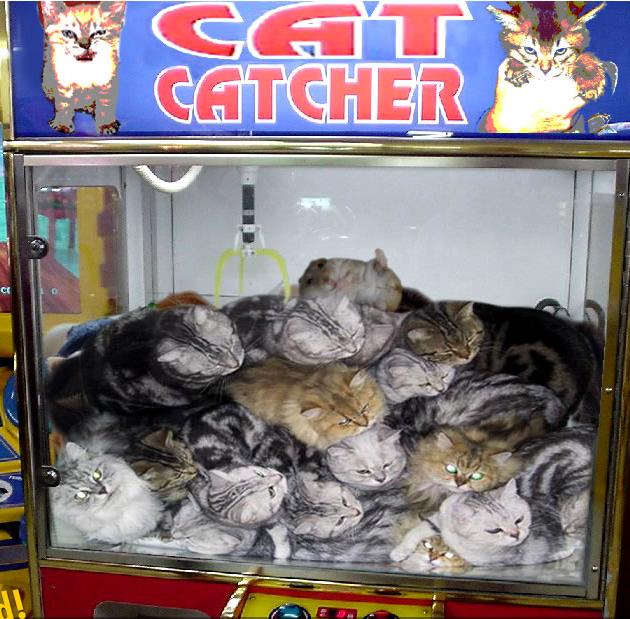 Obrázek cat catcher
