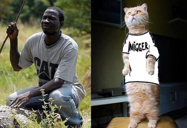 Obrázek cat nigger