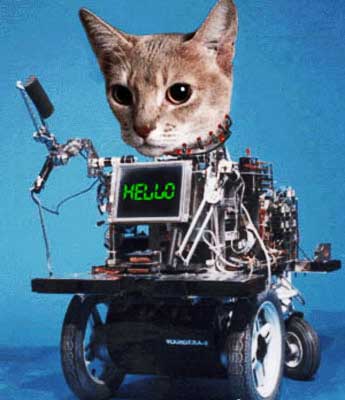 Obrázek cat robot