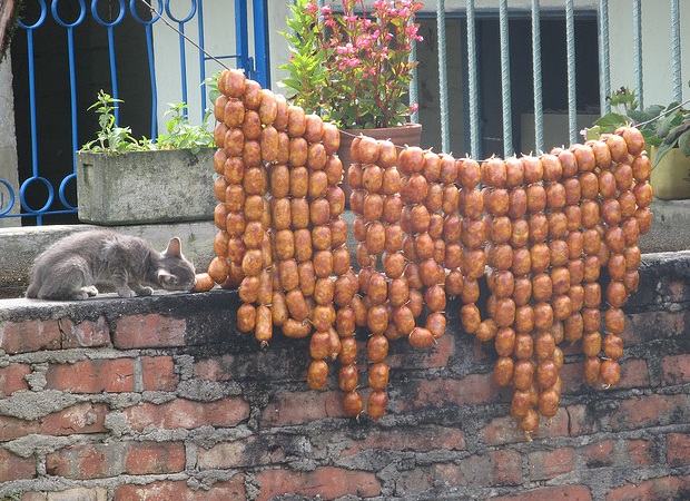 Obrázek cat stealing curd