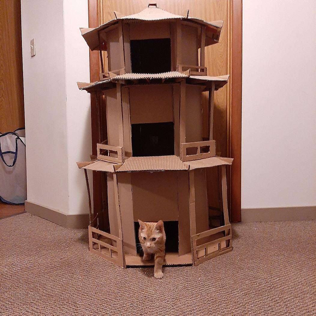 Obrázek cat tower