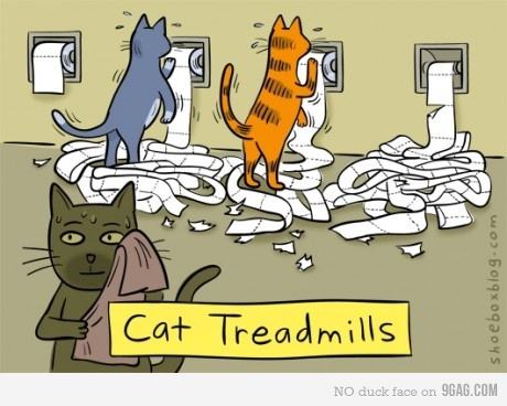 Obrázek cat treadmills