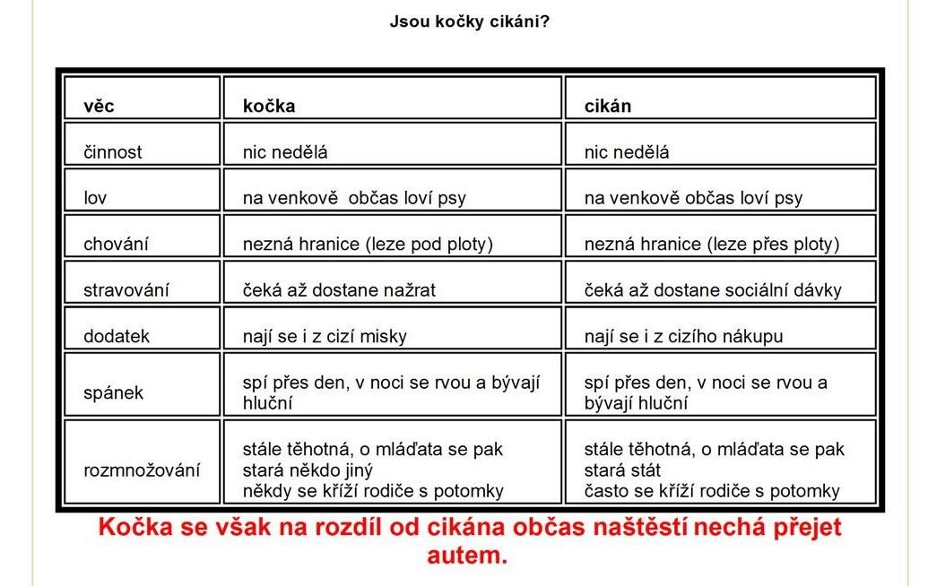 Obrázek cat vs rom
