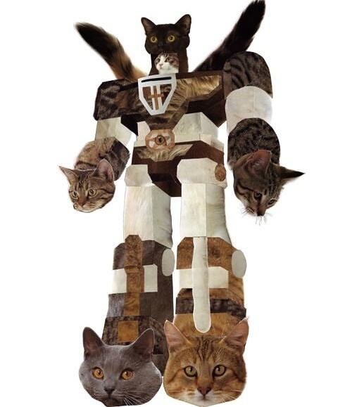 Obrázek catformer