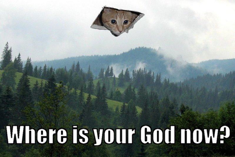 Obrázek catgod