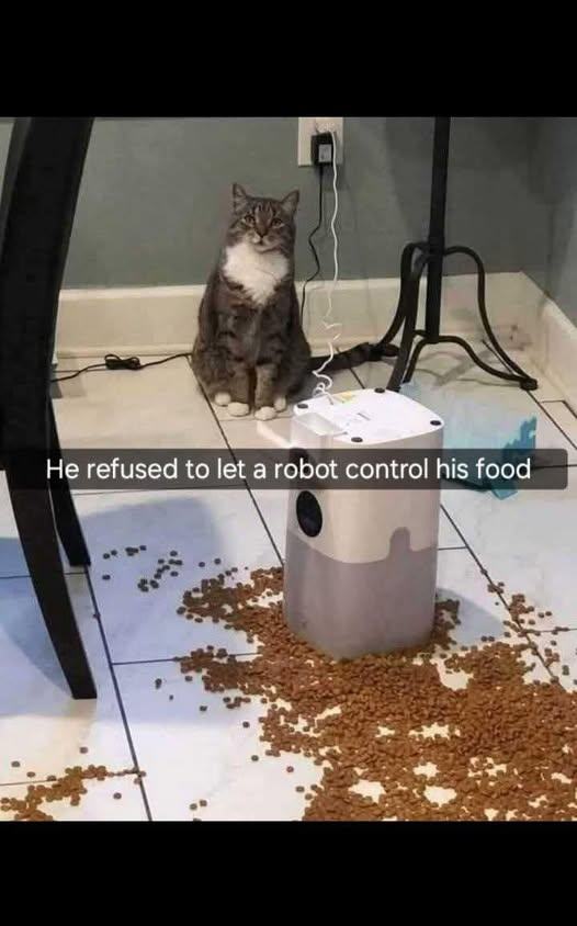 Obrázek cats against the machine