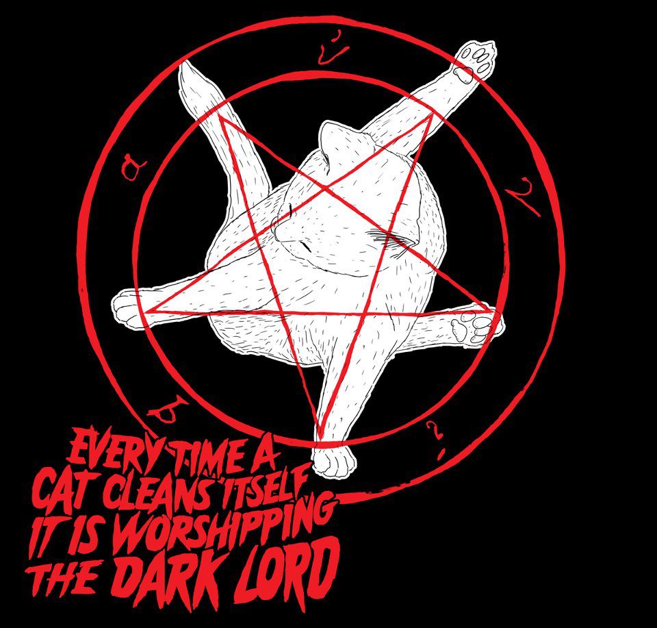 Obrázek cats worship satan