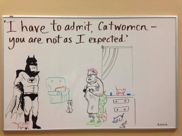 Obrázek catwomen-pic