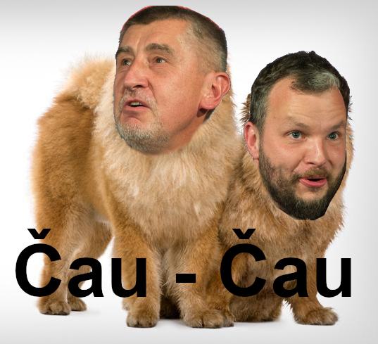 Obrázek cau-cau1