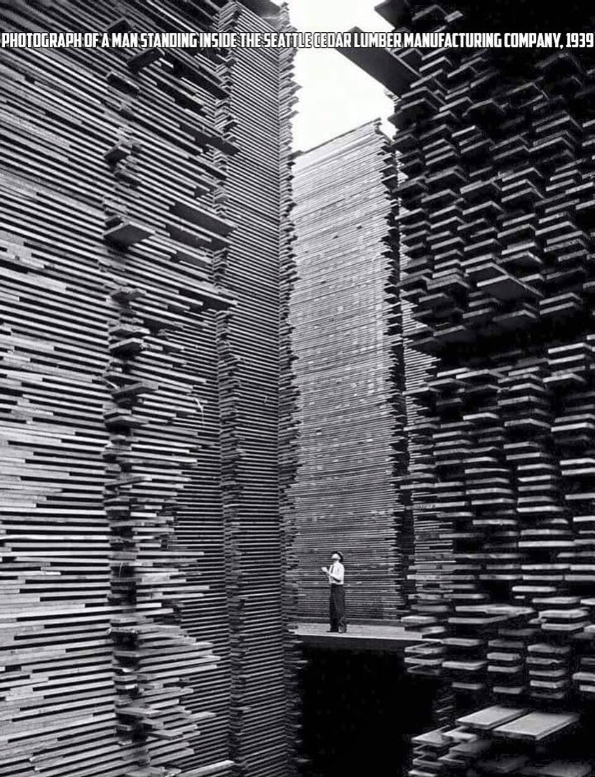 Obrázek cedar lumber manufacturing