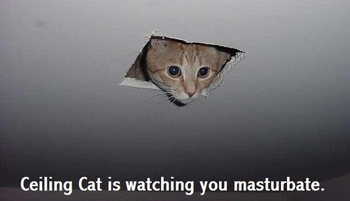Obrázek ceiling cat