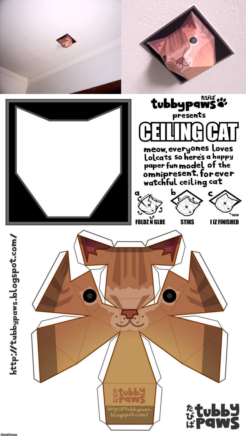 Obrázek ceiling cat paper