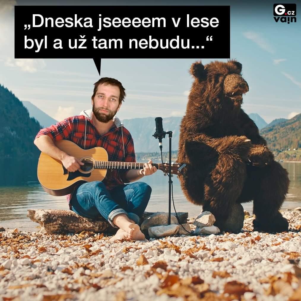 Obrázek cermak v lese