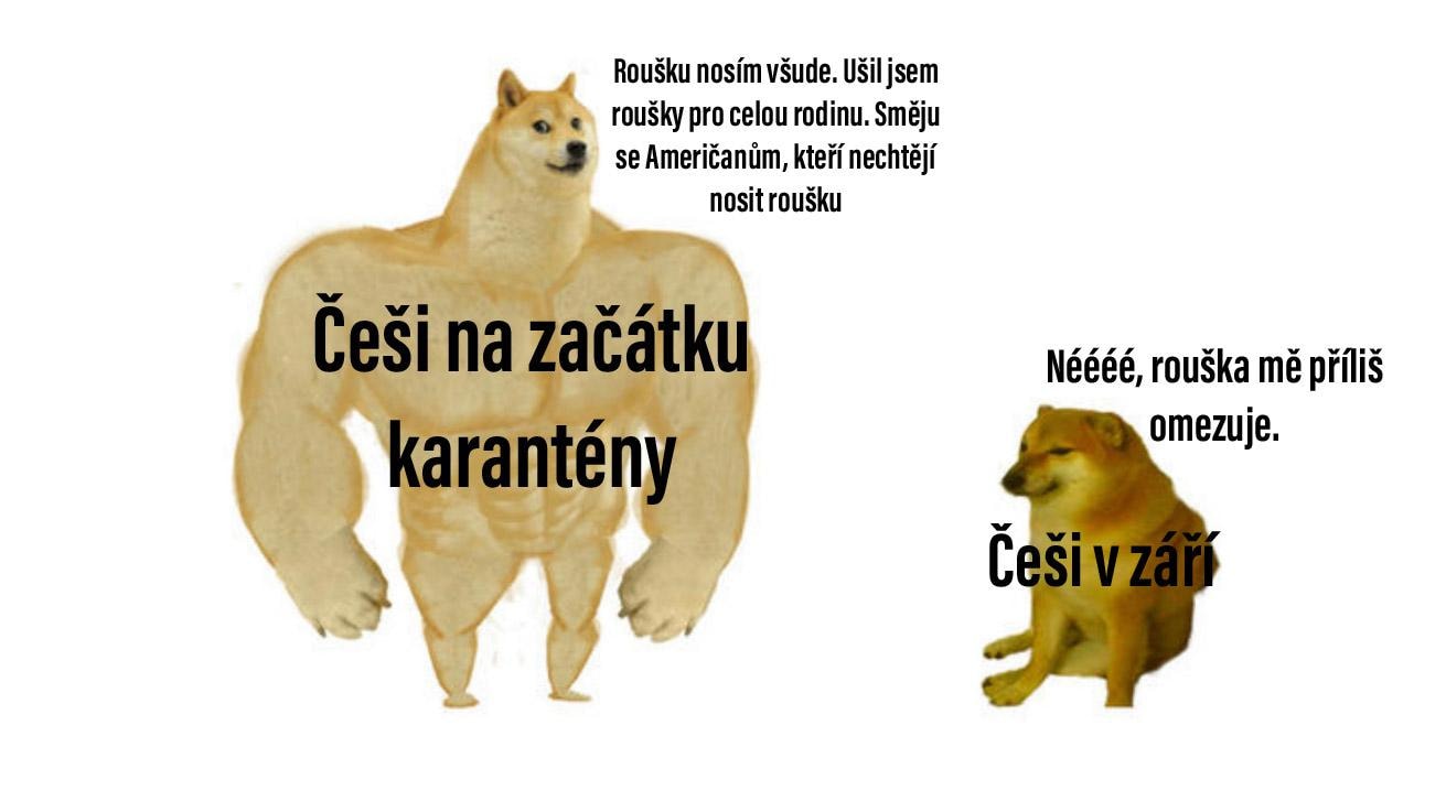 Obrázek cesi v karantene