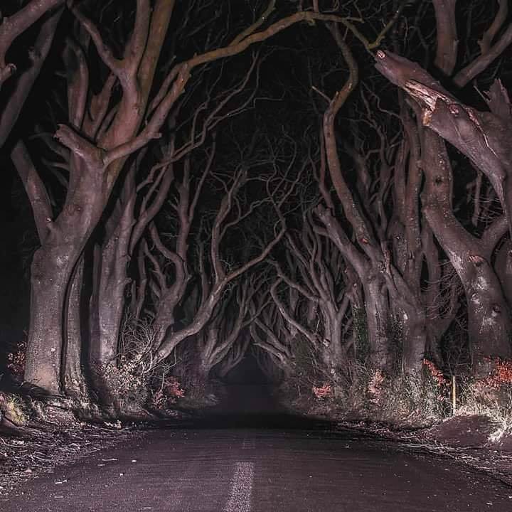 Obrázek cesta v Irsku