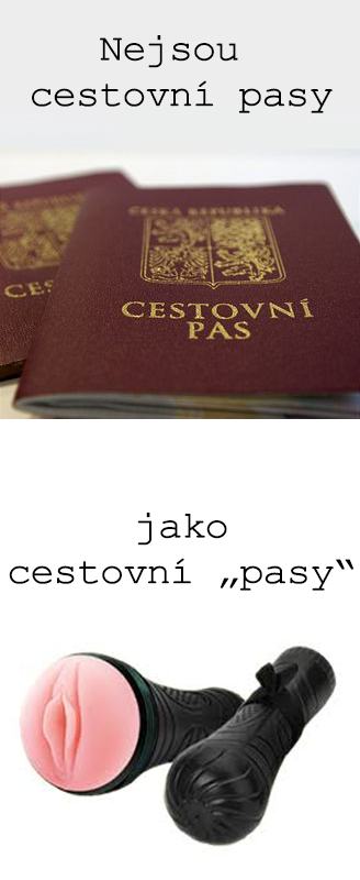 Obrázek cestovni pasy