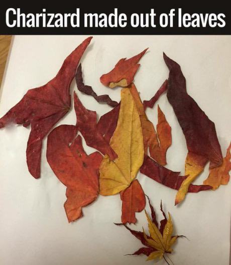 Obrázek charizard made of leaves