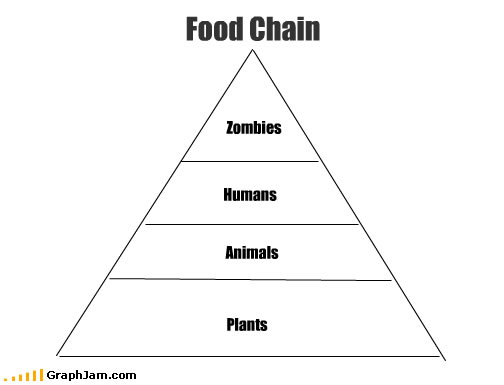Obrázek chart memes food chain