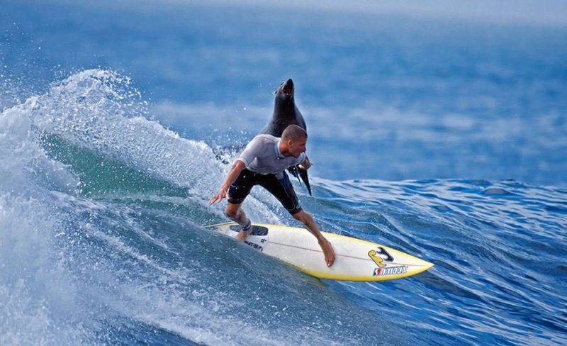 Obrázek chci taky na surf