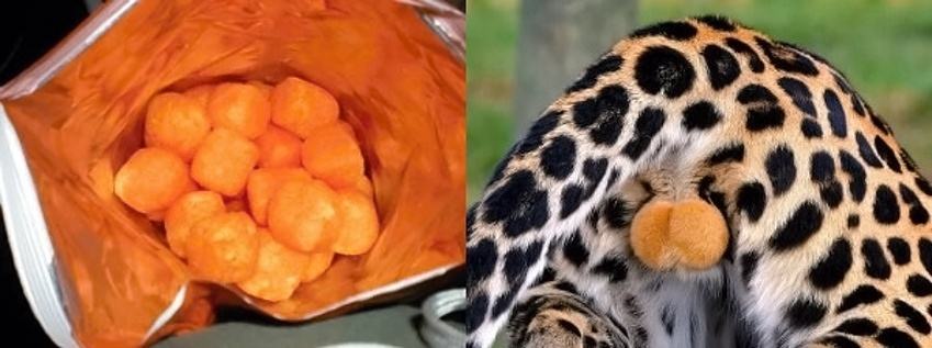 Obrázek cheetos balls and cheetah balls