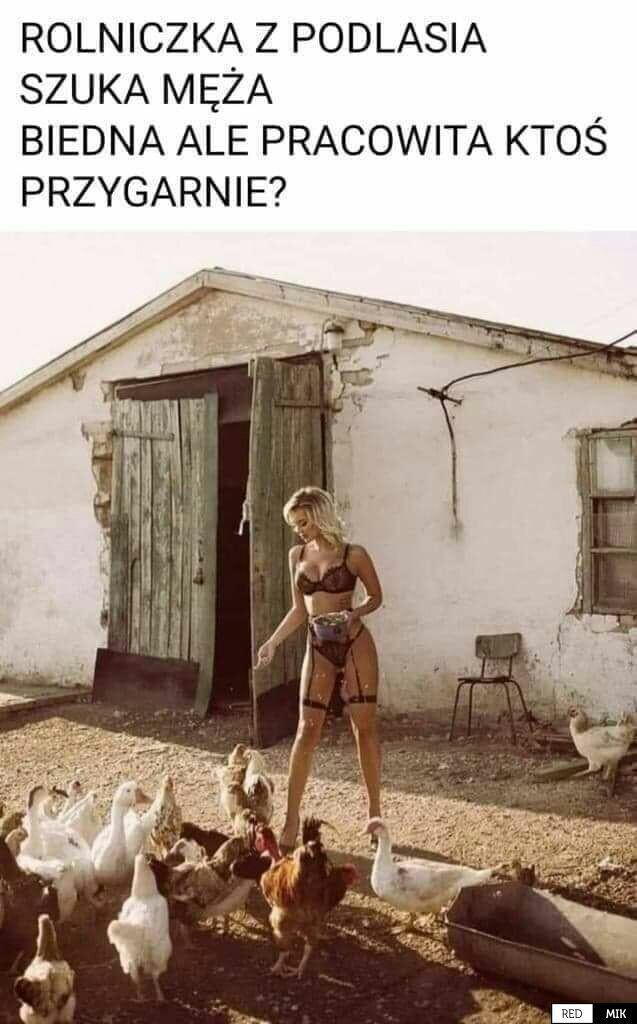 Obrázek chick lingerie