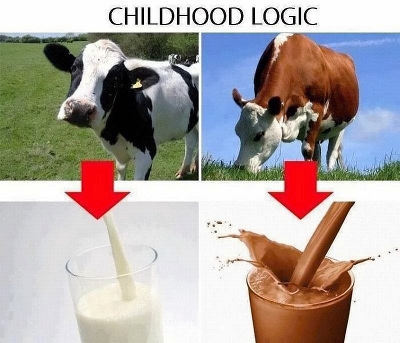 Obrázek childhood logic