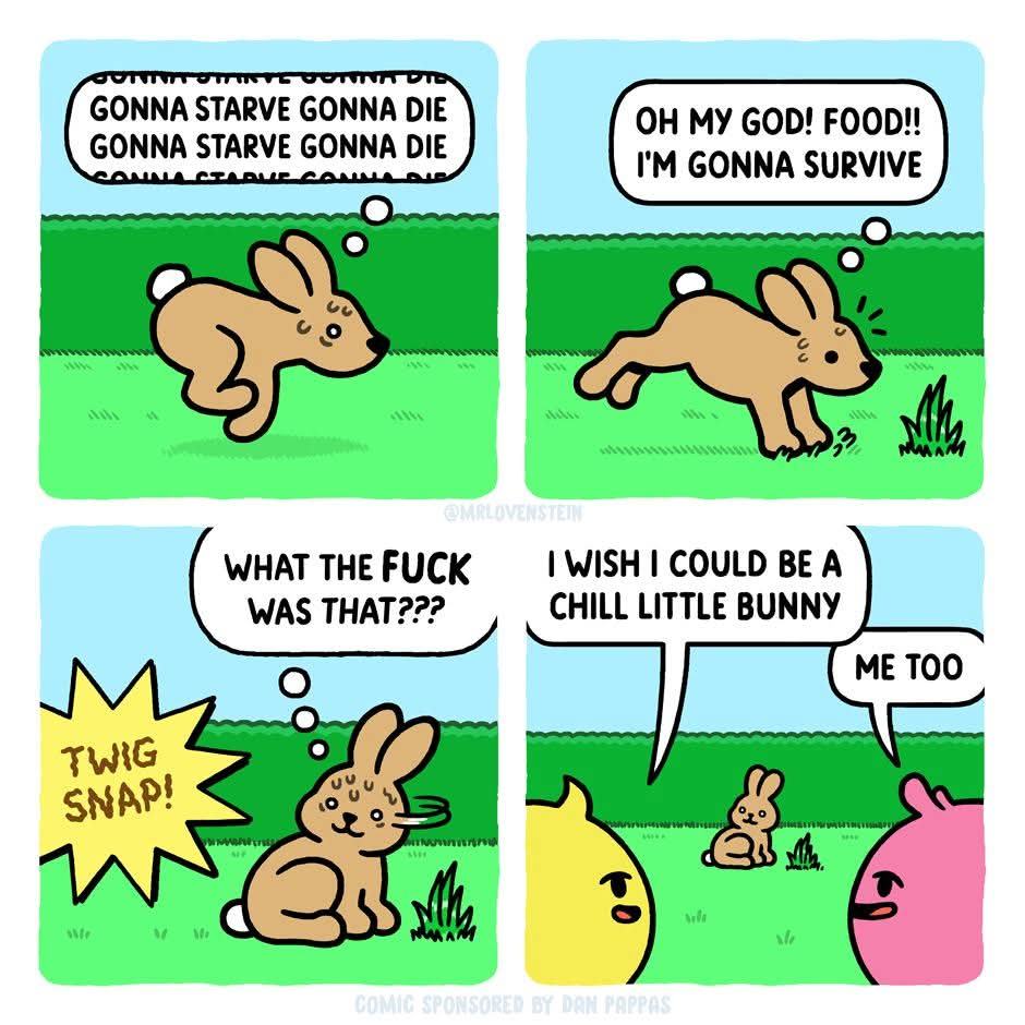 Obrázek chill bunny
