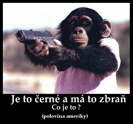 Obrázek chimp-gun