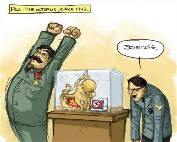 Obrázek chobotnice Paul