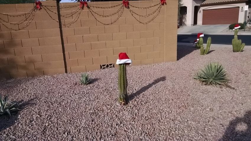 Obrázek christmas-in-arizona 141