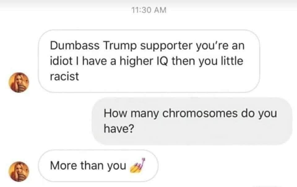 Obrázek chromosomes