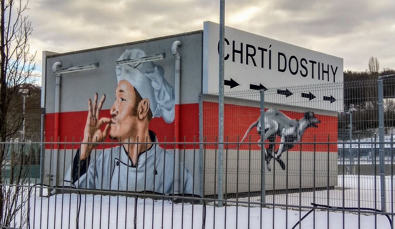 Obrázek chrti dostihy