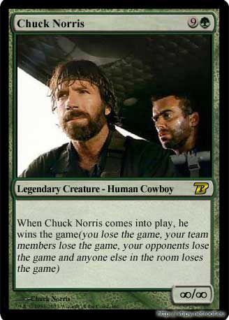 Obrázek chuck-norris-magic-the-gathering-card-3