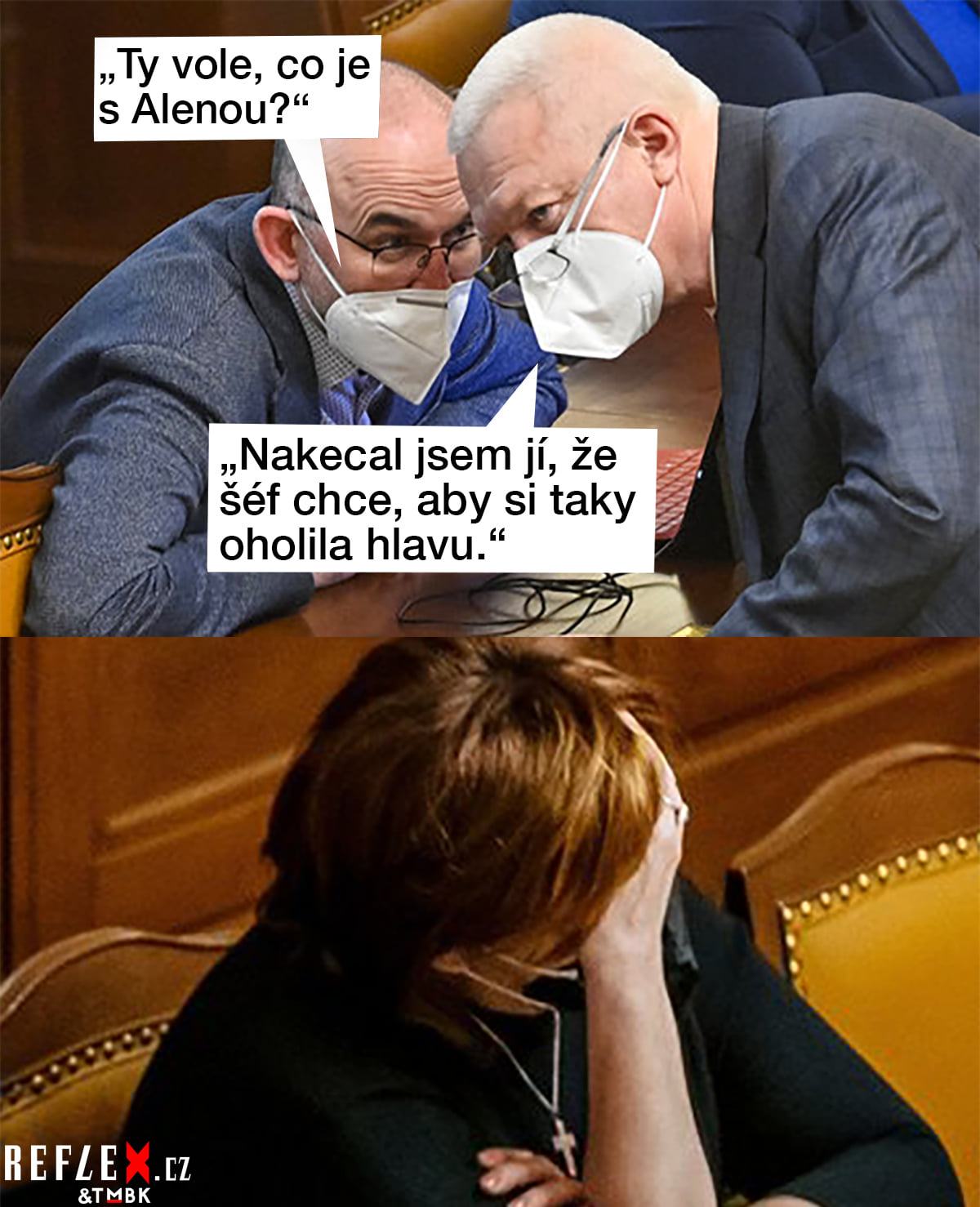 Obrázek chudak alena