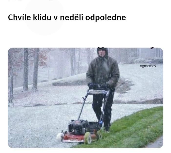 Obrázek chvile klidu