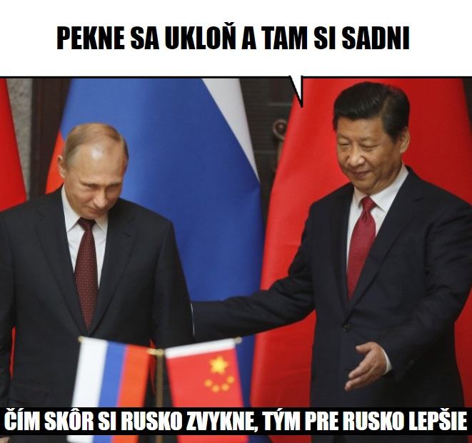 Obrázek cinsky psik