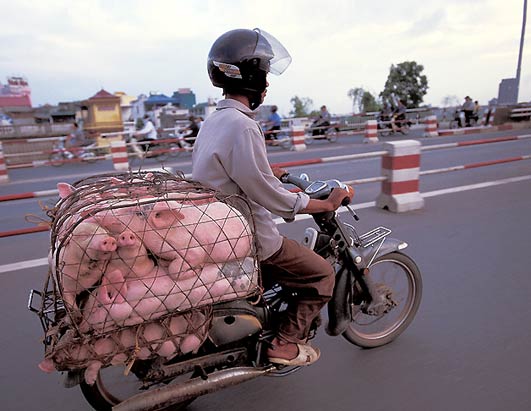 Obrázek cinsti-motorkari-v-pantoflich-001