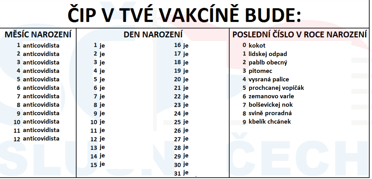 Obrázek cip ve vakcine fixed