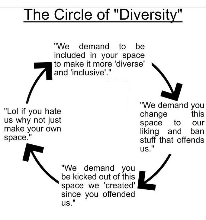 Obrázek circle of diversity