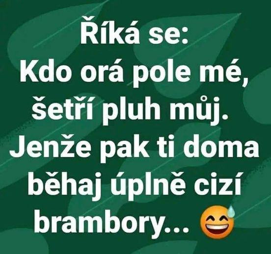 Obrázek cizi brambory