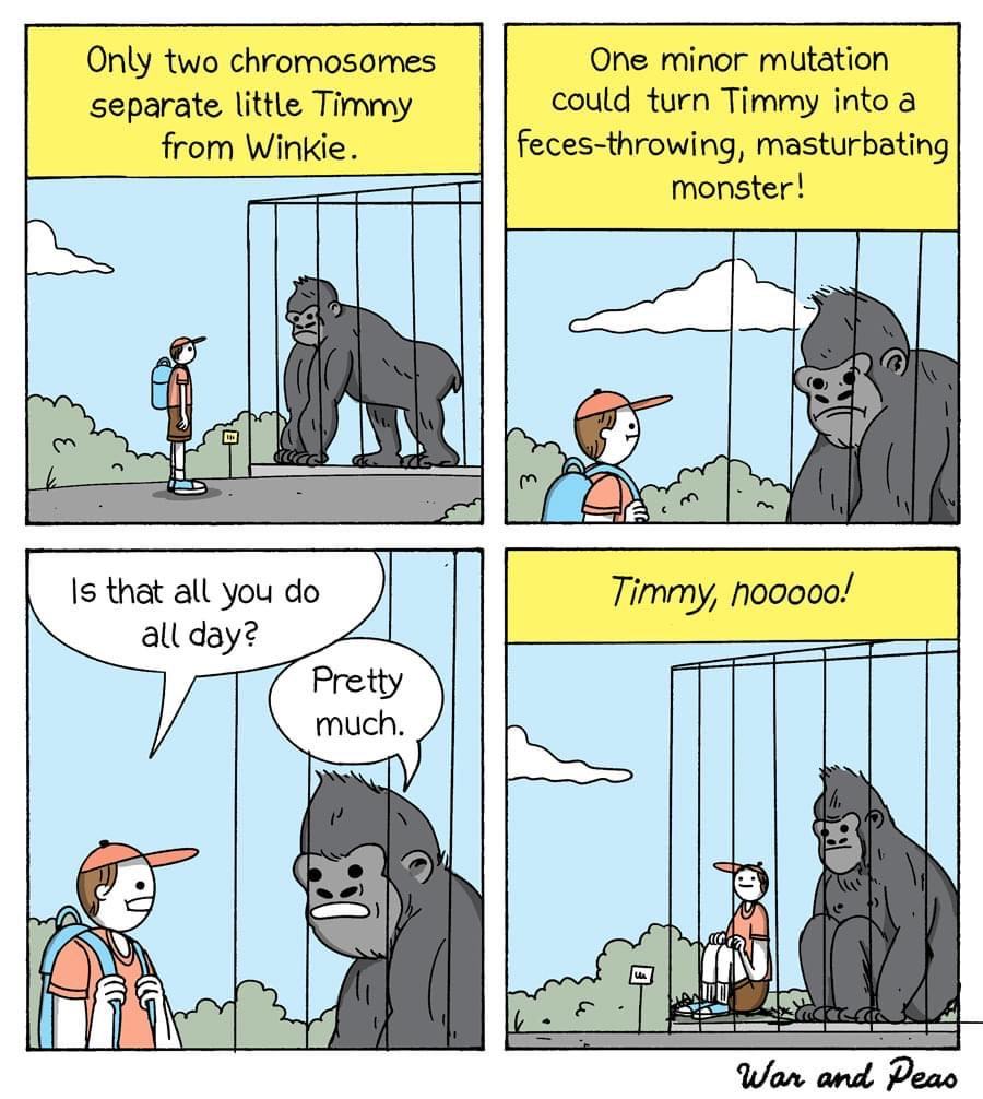 Obrázek clever Timmy