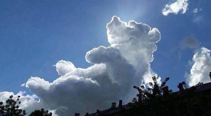 Obrázek cloud-bear