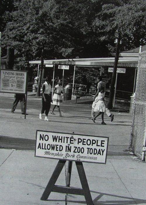 Obrázek co je rasizmus