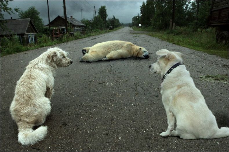 Obrázek co se tady vali