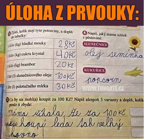 Obrázek co si koupite za 100Kc