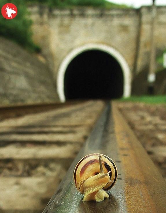 Obrázek co to huci v tunelu