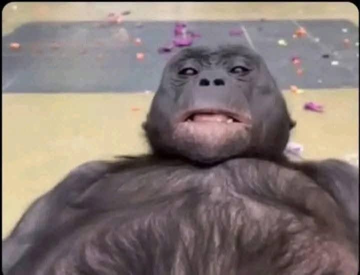 Obrázek co&nbsp;vidi&nbsp;tvoje&nbsp;stara&nbsp;kdyz&nbsp;se&nbsp;pri&nbsp;BJ&nbsp;podiva&nbsp;nahoru