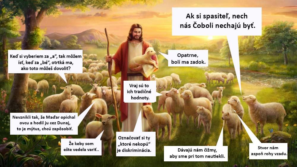 Obrázek coboli