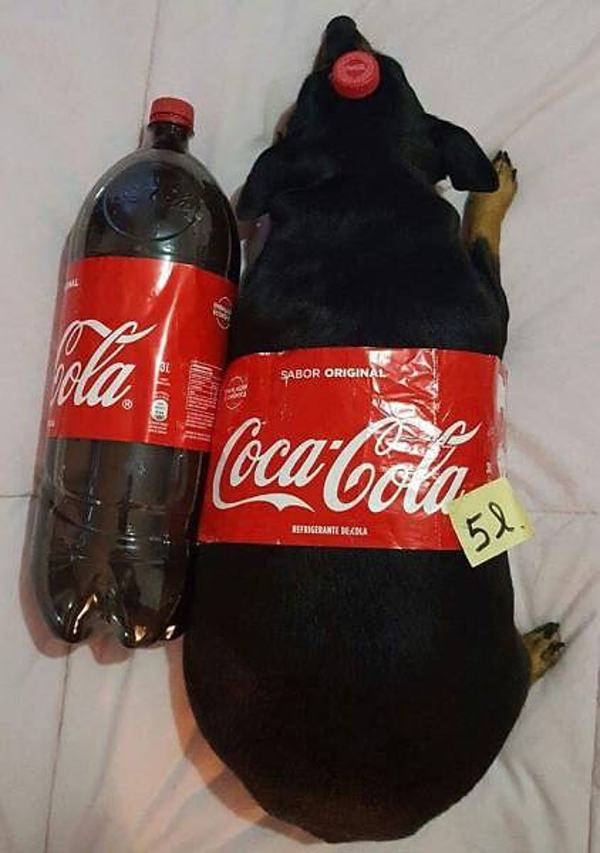 Obrázek coca-cola-5l